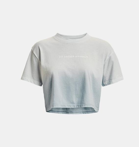 Gri Kadın UA Branded Dip Dye Crop Kısa Kollu