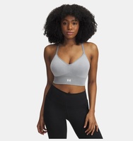 Kadın UA Vanish Seamless Washed Low Spor Sütyeni