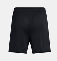 Erkek UA Curry Splash Şort