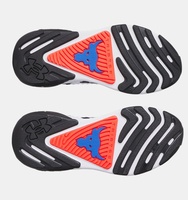 Kadın UA Project Rock 7 Antrenman Ayakkabısı