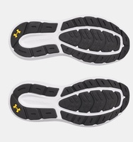 Erkek UA Charged Rogue 5 Koşu Ayakkabısı