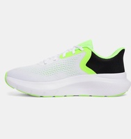 Erkek UA Charged Rogue 5 Koşu Ayakkabısı