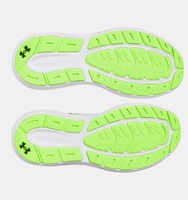 Erkek UA Charged Rogue 5 Koşu Ayakkabısı