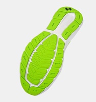 Erkek UA Charged Rogue 5 Koşu Ayakkabısı