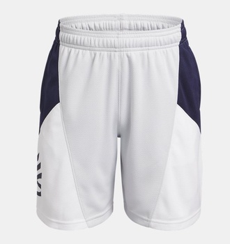 Erkek Çocuk Curry Splash Şort