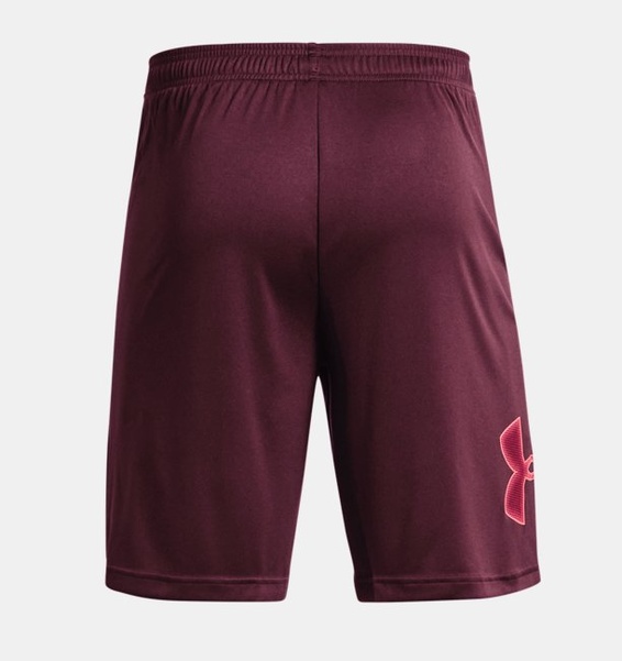 Kırmızı Erkek UA Tech Graphic Şort