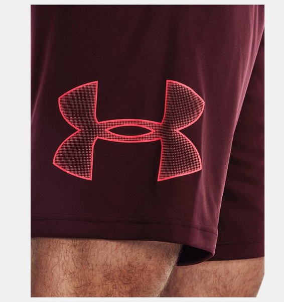 Kırmızı Erkek UA Tech Graphic Şort