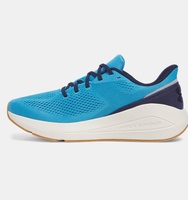 Erkek UA Sonic 7 Koşu Ayakkabısı