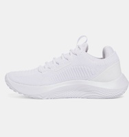 Kadın UA Dynamic 2 Antrenman Ayakkabısı