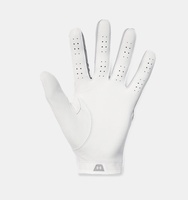 Erkek UA Iso-Chill Pro Golf Eldiven