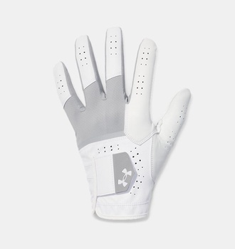 Erkek UA Iso-Chill Pro Golf Eldiven