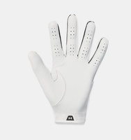 Erkek UA Iso-Chill Pro Golf Eldiven