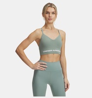Kadın UA Vanish Dikişsiz Low Spor Sütyeni