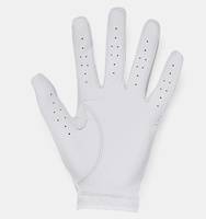 Erkek UA Serin Tutan Golf Eldiveni