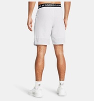 Erkek UA Vanish Dokuma Şort