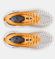 Kadın UA Infinite Elite We Run Koşu Ayakkabısı