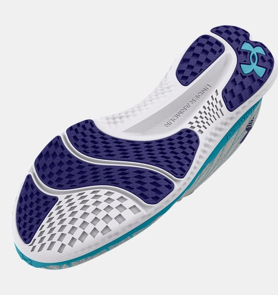 Gri Kadın UA W Charged Breeze 2