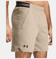 Erkek UA Vanish Dokuma 6inch Şort