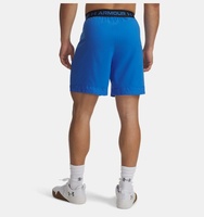 Erkek UA Vanish Dokuma 6inch Şort