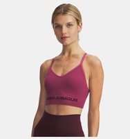 Kadın UA Vanish Dikişsiz Low Spor Sütyeni