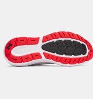 Erkek UA Charged Rogue 5 Koşu Ayakkabısı