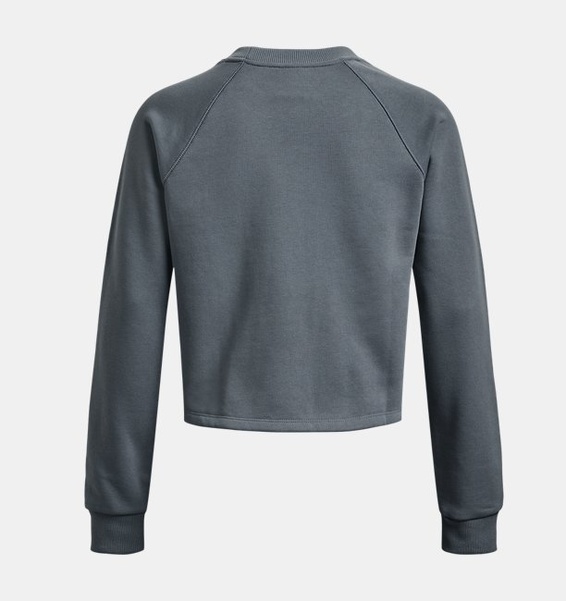 Gri Kadın UA Terry Crop Uzun Kollu T-shirt