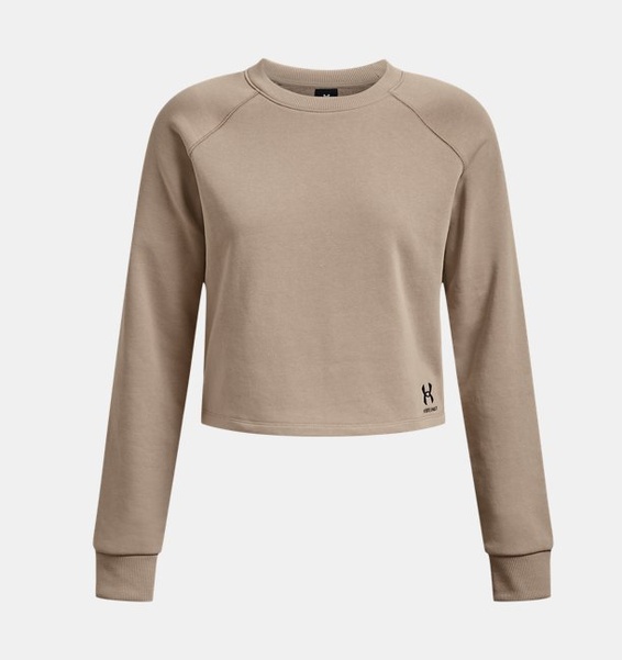 Kahverengi Kadın UA Terry Crop Uzun Kollu T-shirt