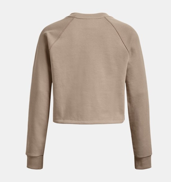 Kahverengi Kadın UA Terry Crop Uzun Kollu T-shirt