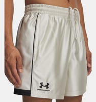 Erkek UA 96 Terrace Şort
