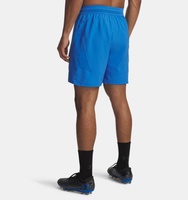 Erkek UA Challenger Pro Şort