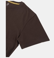 Erkek UA Curry Heavyweight Logo T-shirt