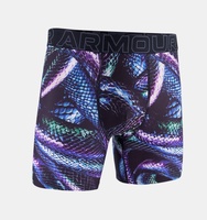 Erkek UA Performance Tech Mesh - Graphic 6 Inch (Energy Singles) İç Giyim