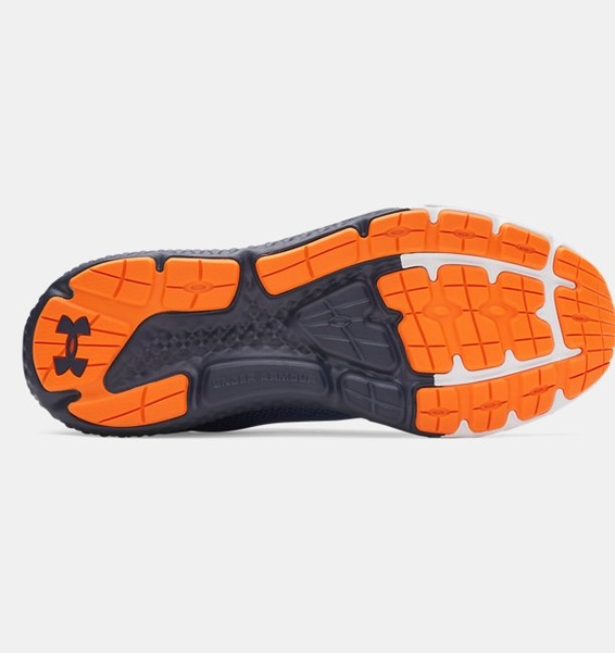 Mavi Erkek UA Charged Rogue 4 Koşu Ayakkabısı