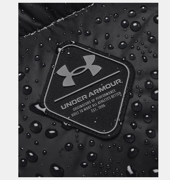 Siyah Kadın UA Storm ColdGear® Infrared Down Yelek