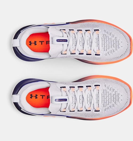 Gri Erkek UA Flow Dynamic Antrenman Ayakkabısı