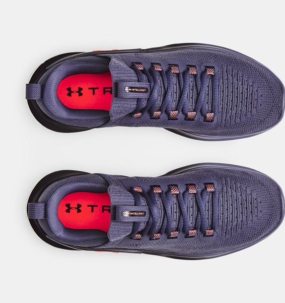 Gri Erkek UA Flow Dynamic Antrenman Ayakkabısı