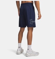 Erkek UA Tech Graphic Şort