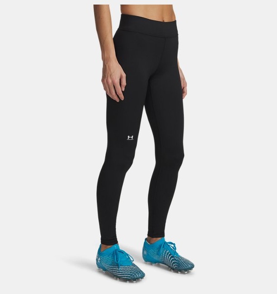 Siyah Kadın UA ColdGear Authentics Tayt