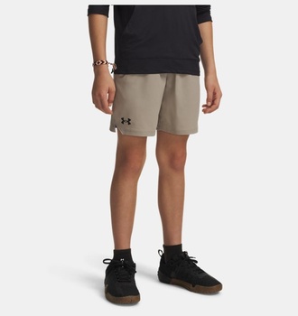 Erkek Çocuk UA Vanish Şort