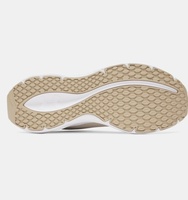 Erkek UA Ascend Koşu Ayakkabısı