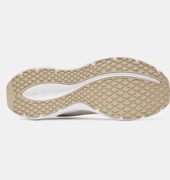 Vizon Erkek UA Ascend Koşu Ayakkabısı