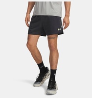 Erkek UA Trail Run 5' Inch Şort