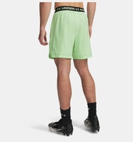 Erkek UA Vanish Dokuma 6inch Şort