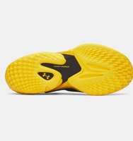 Erkek UA Curry 13 Basketbol Ayakkabısı