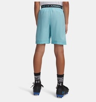 Erkek Çocuk UA Vanish Şort
