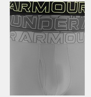 Erkek UA Performance Tech Mesh -Solid 6 in 3'lü İç Giyim
