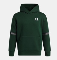 Erkek Çocuk UA Icon Fleece Taped Sweatshirt