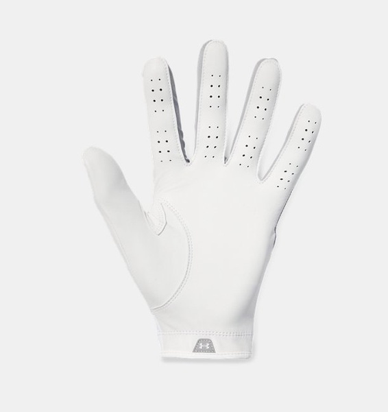 Gri Erkek UA Iso-Chill Pro Golf Eldiven