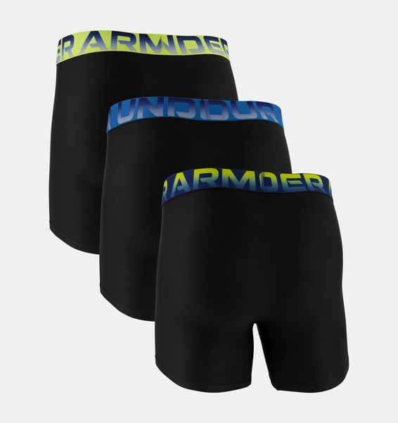 Siyah Erkek UA Performance Cotton 6" 3'lü Boxer